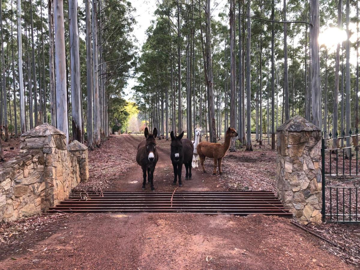 Clover Cottage Country Retreat Manjimup Zewnętrze zdjęcie
